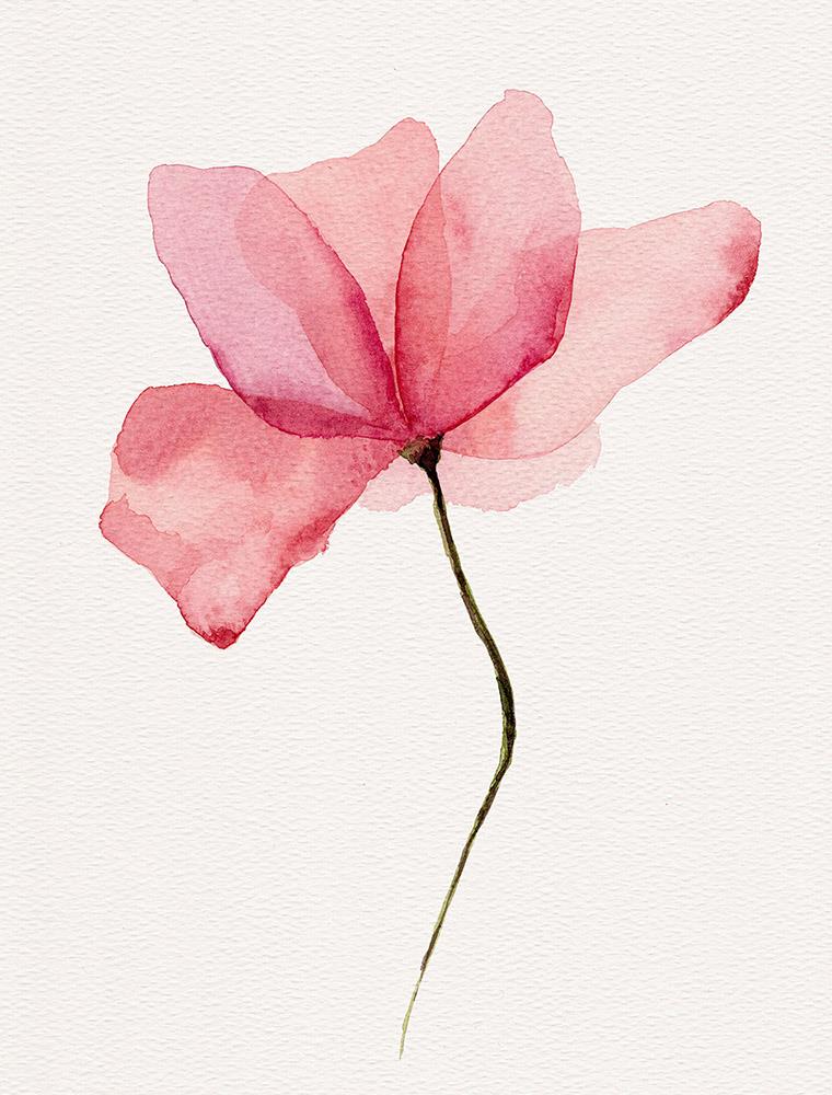 Watercolor Flower-Open Edition Prints-Fine art print from FINEPRINT co