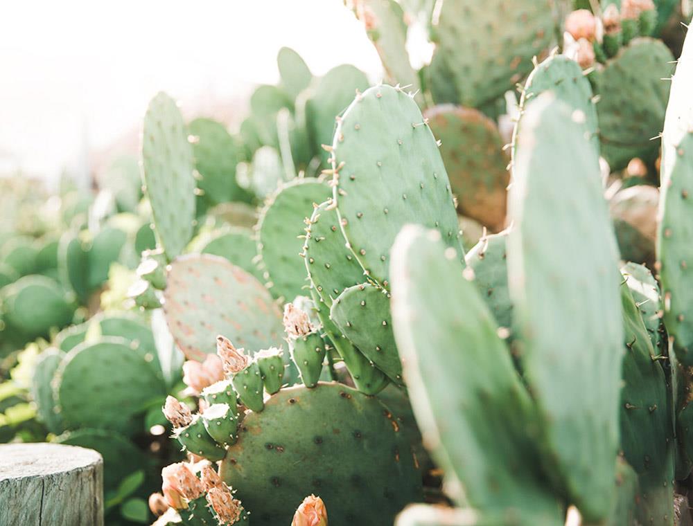 Wall Art Viewer Frames Render