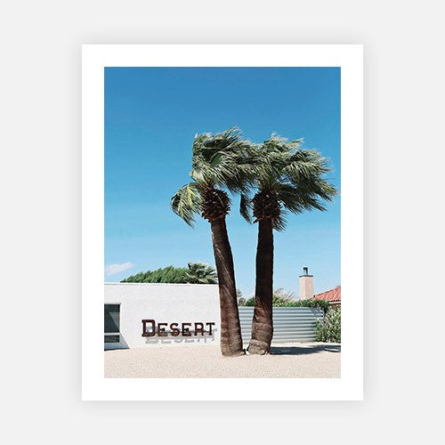 Windy Palms-Gallery Stock-Fine art print from FINEPRINT co