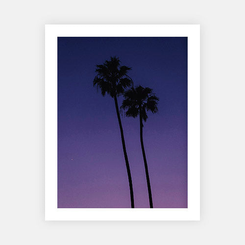 Twin Purple Palms-Gallery Stock-Fine art print from FINEPRINT co