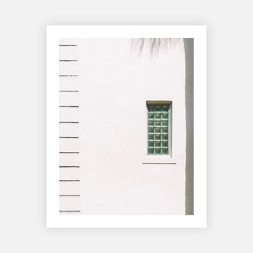 Shadow Palm-Gallery Stock-Fine art print from FINEPRINT co