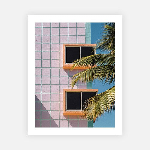 Window Palms-Gallery Stock-Fine art print from FINEPRINT co
