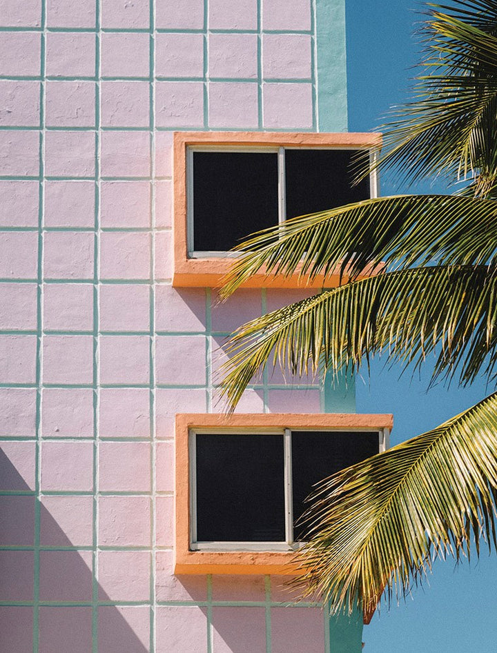 Window Palms-Gallery Stock-Fine art print from FINEPRINT co