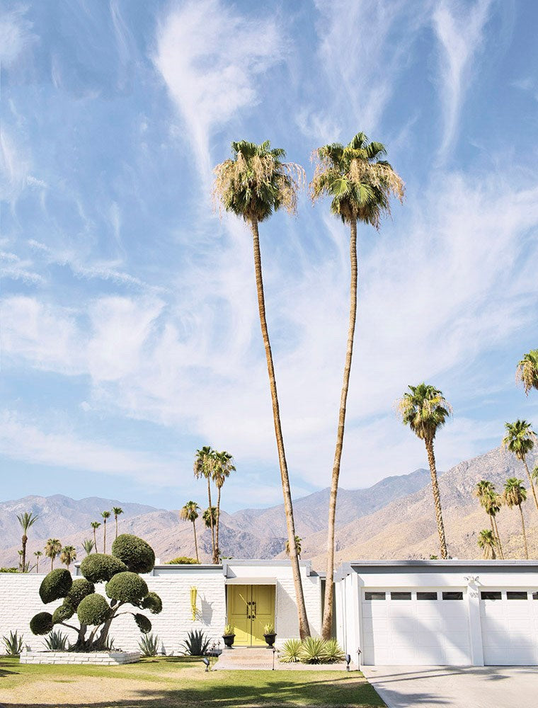 Palm Springs-Gallery Stock-Fine art print from FINEPRINT co