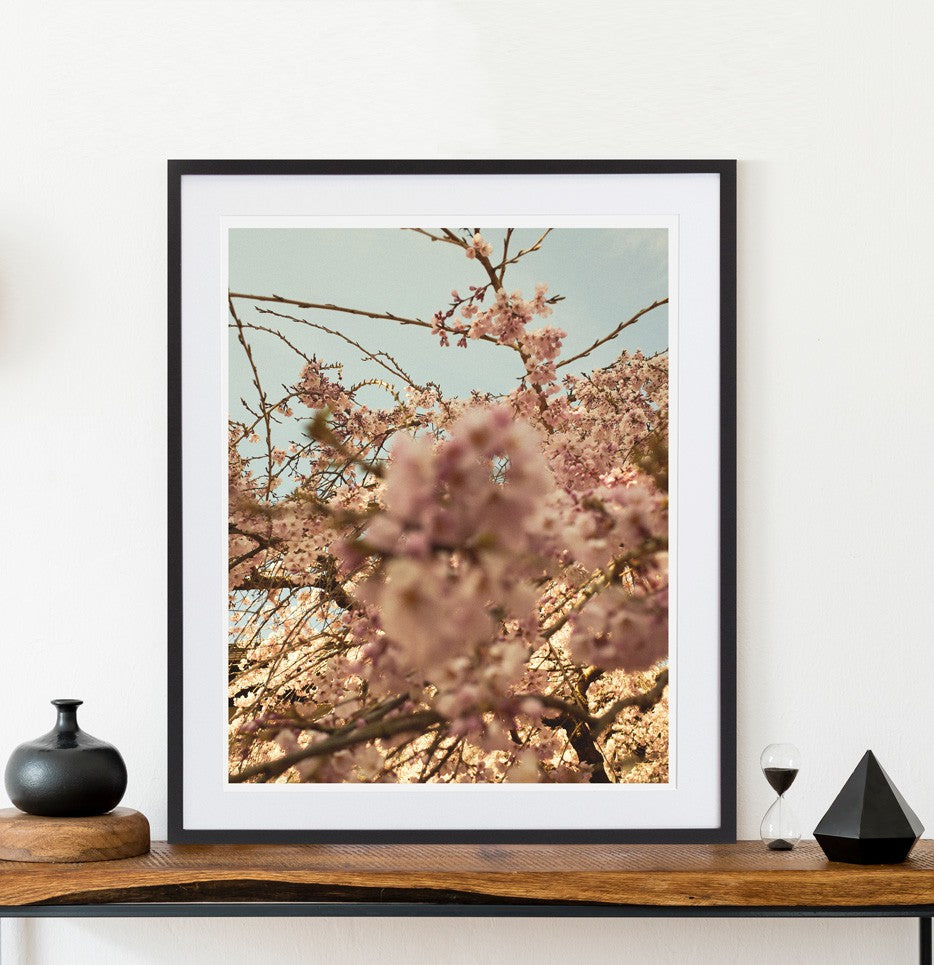 Blossoming-Vogue Contemporary-Fine art print from FINEPRINT co