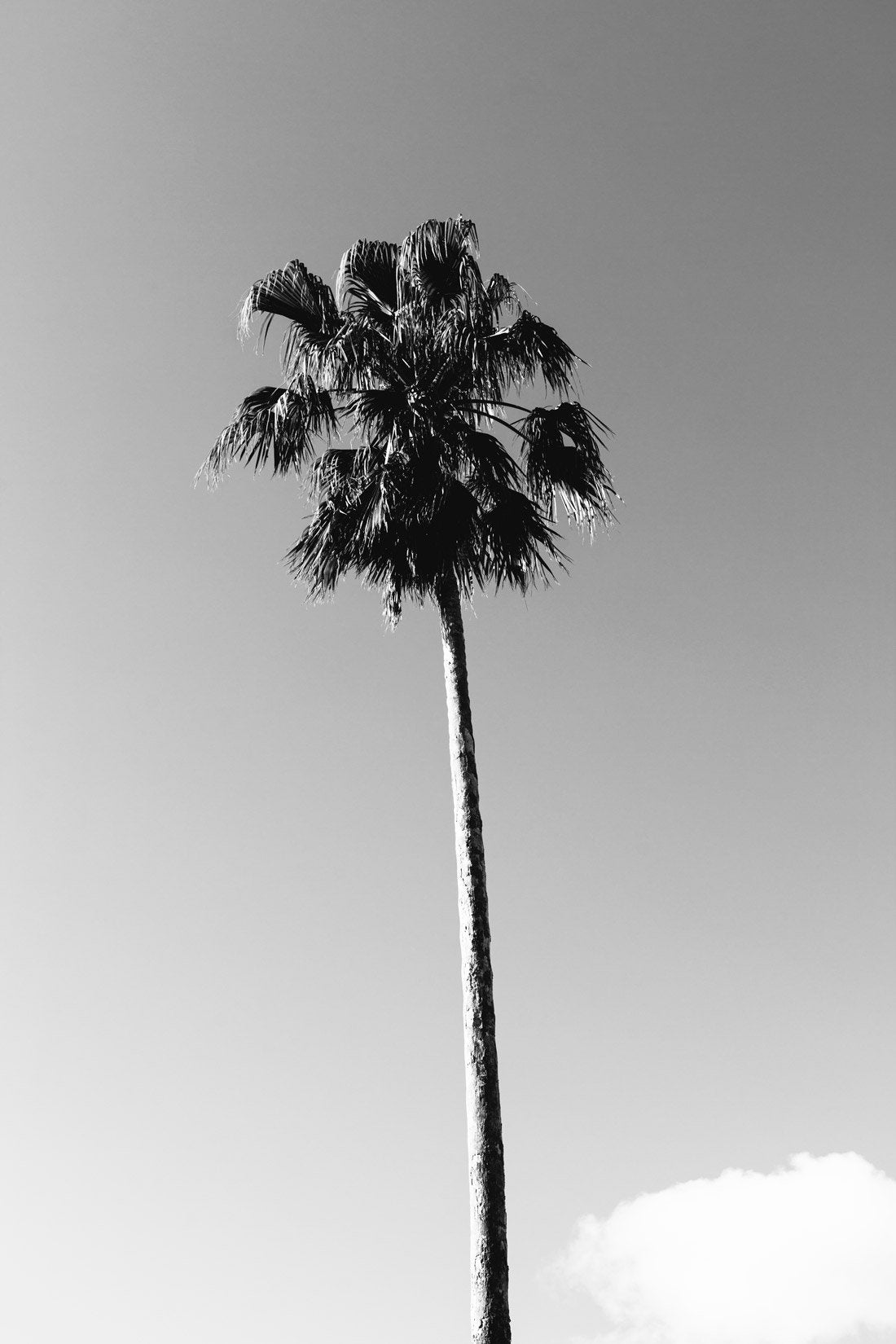 Wall Art Viewer Frames Render