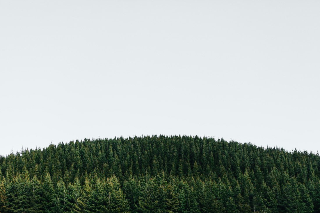 Wall Art Viewer Frames Render