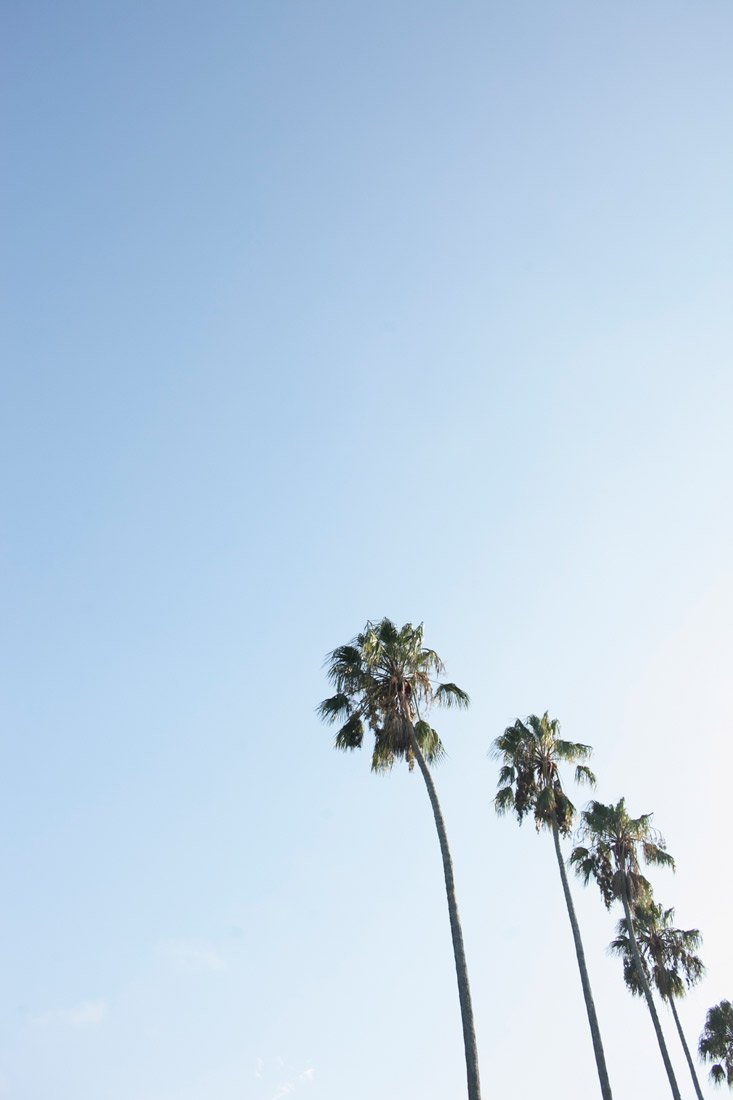 Wall Art Viewer Frames Render