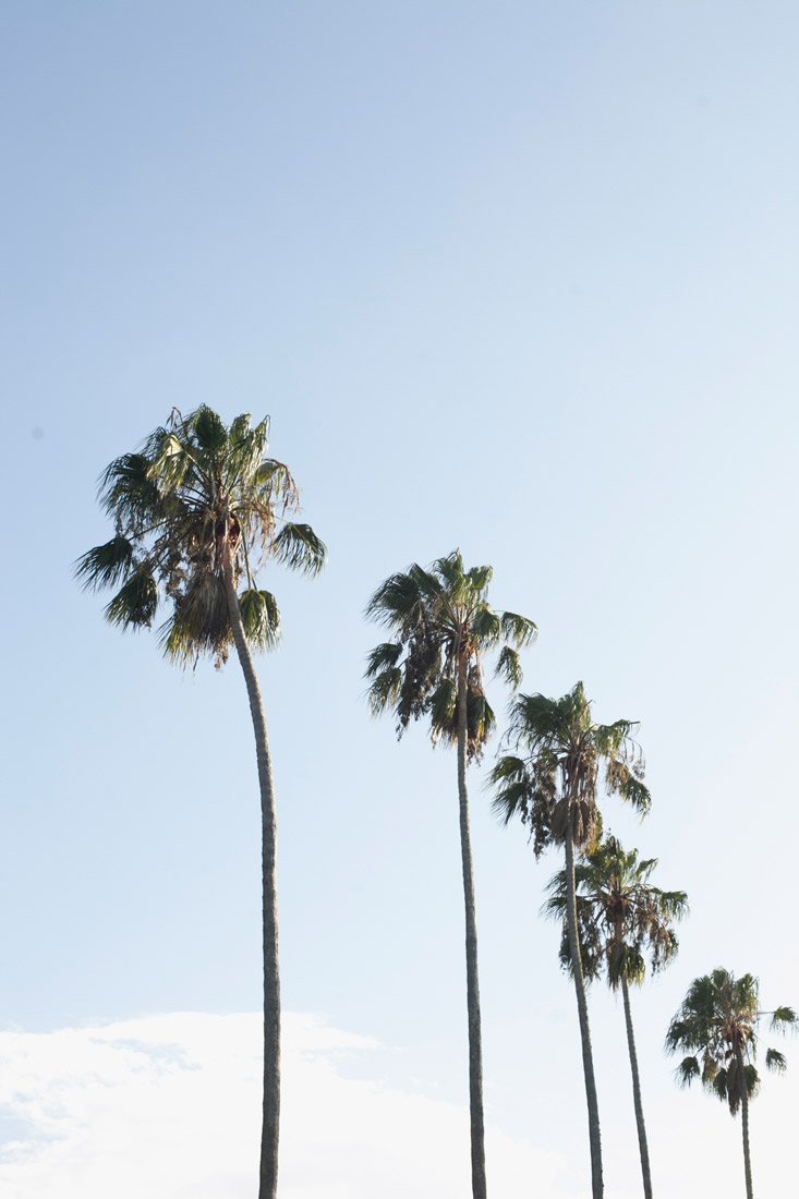 Wall Art Viewer Frames Render