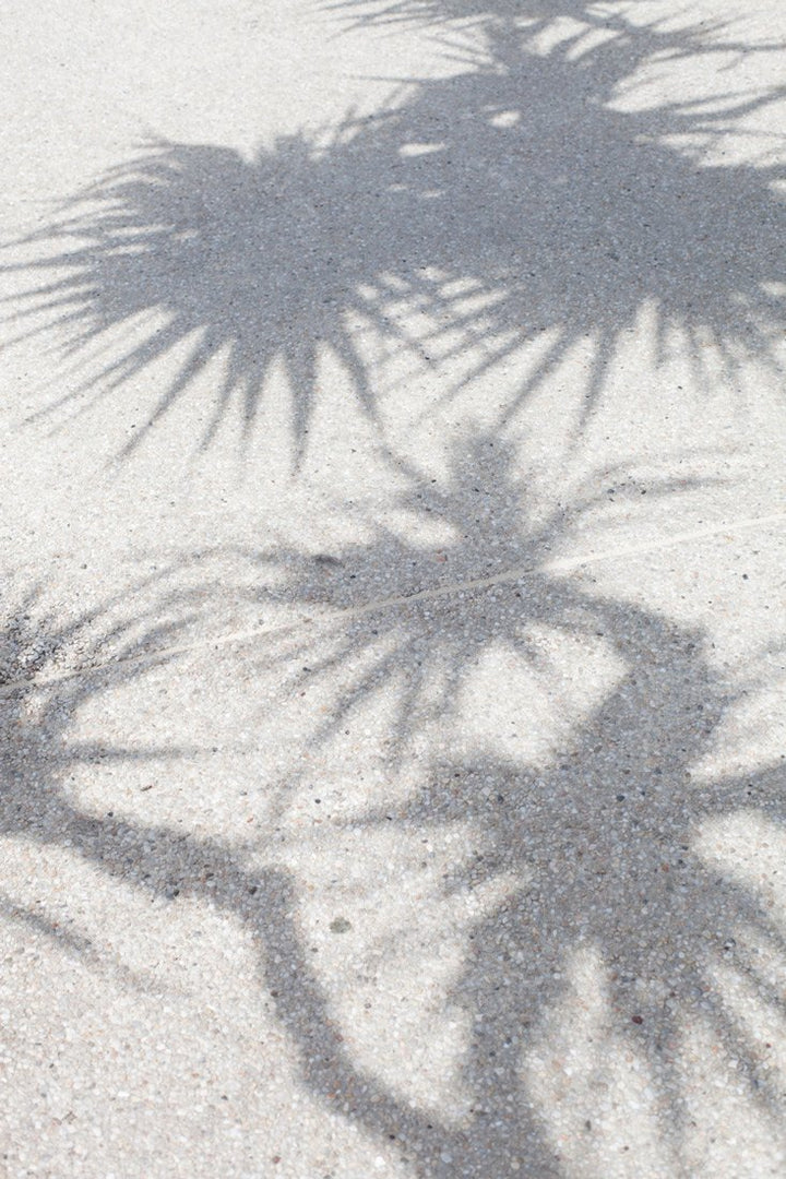 Shadow Print Issue Shadow Print | FINEPRINT co – FINEPRINTCO