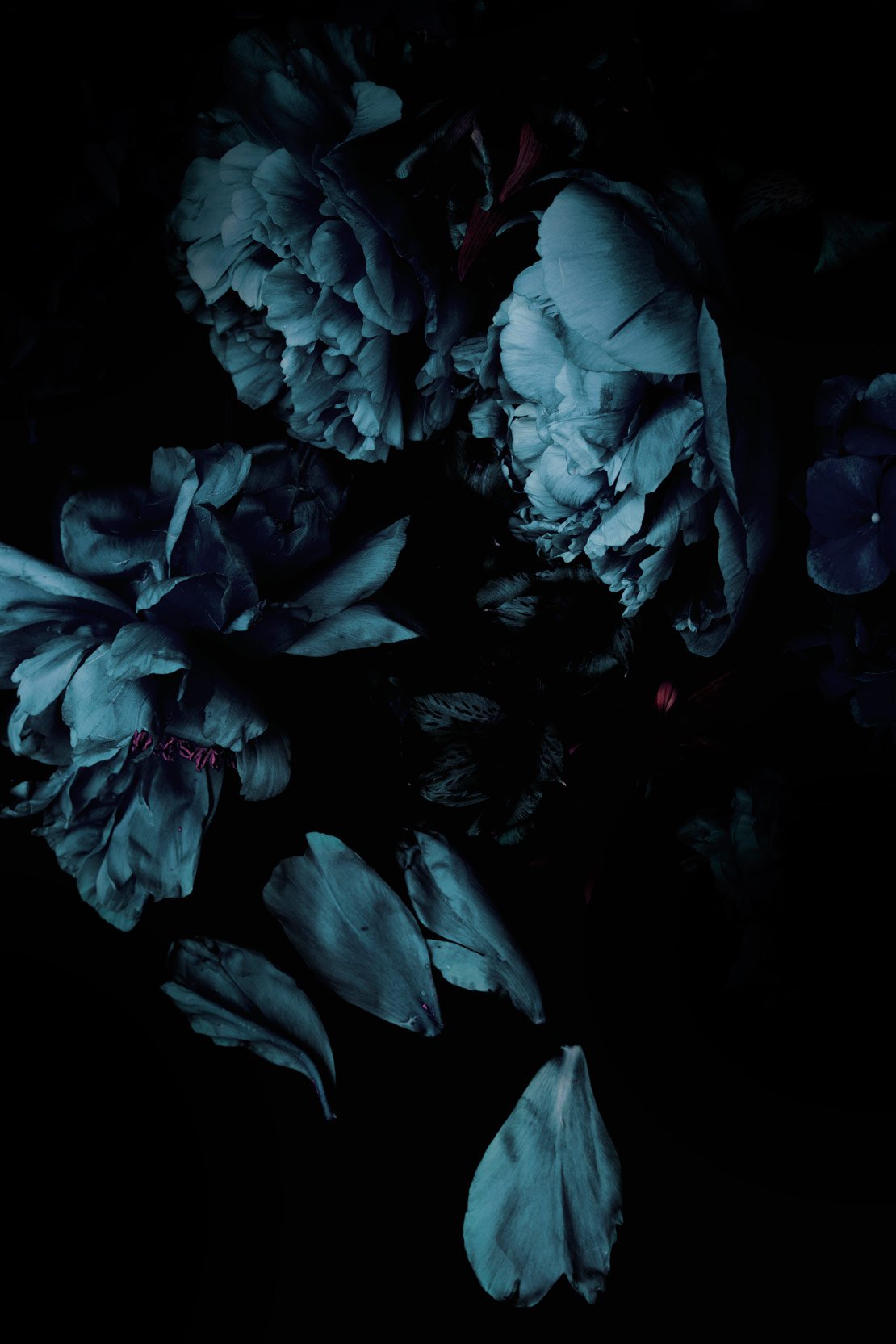 Wall Art Viewer Frames Render