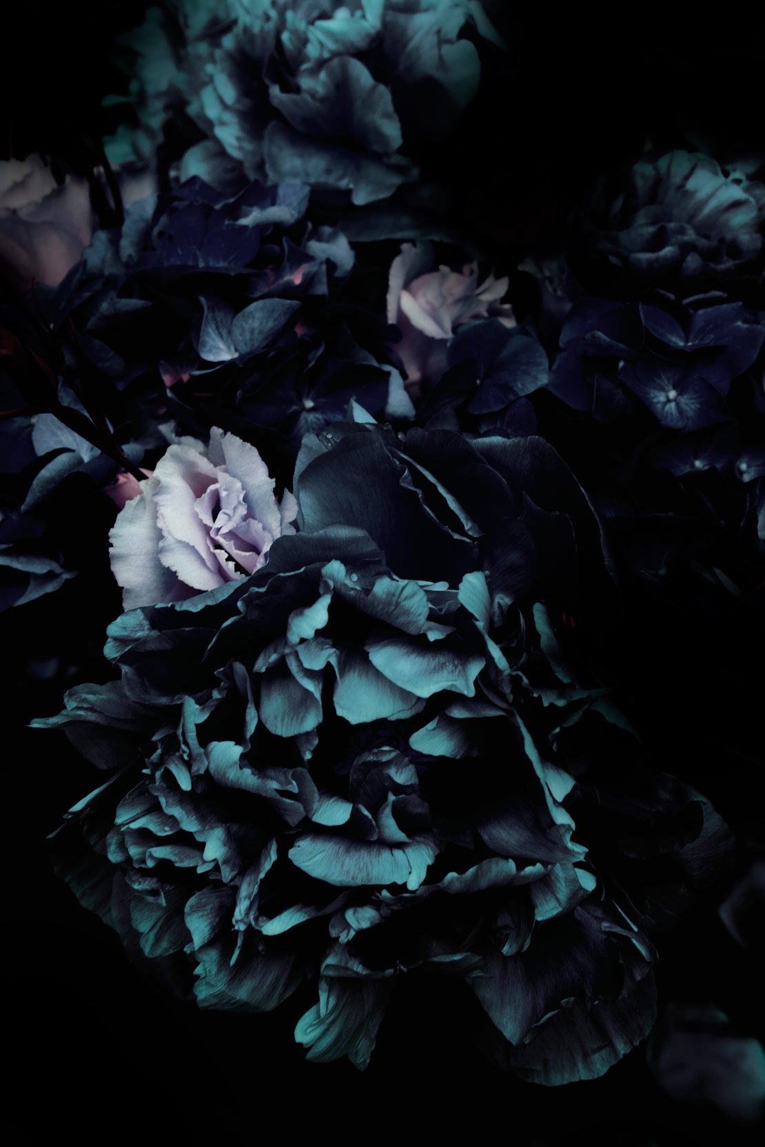 Wall Art Viewer Frames Render