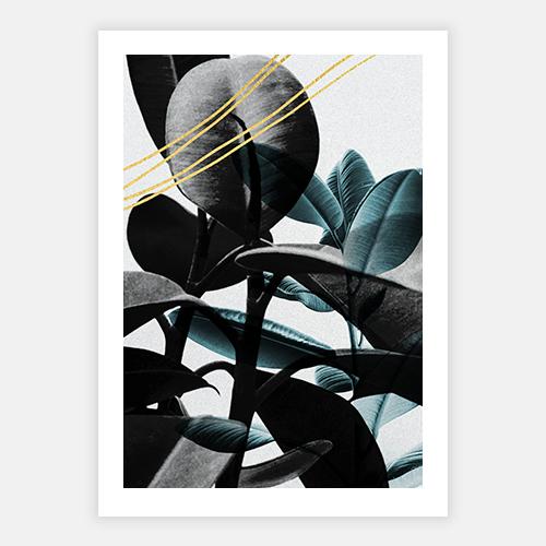 Beryl III by FINEPRINT co - FINEPRINT co