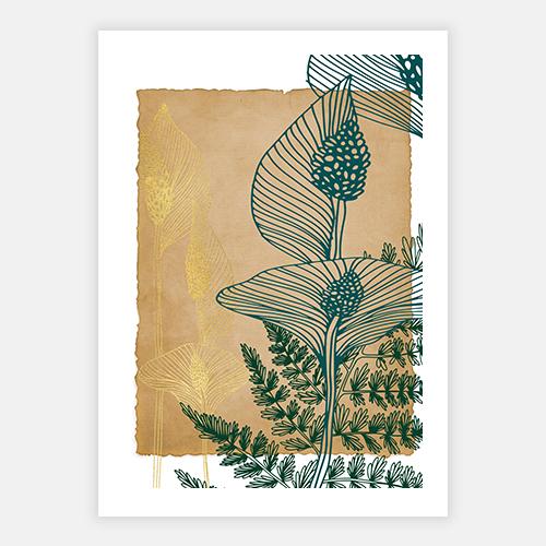 Drus VIII by FINEPRINT co - FINEPRINT co