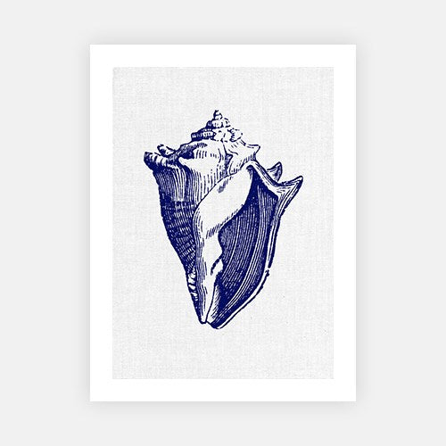 Sea Shell 2-Open Edition Prints-Fine art print from FINEPRINT co