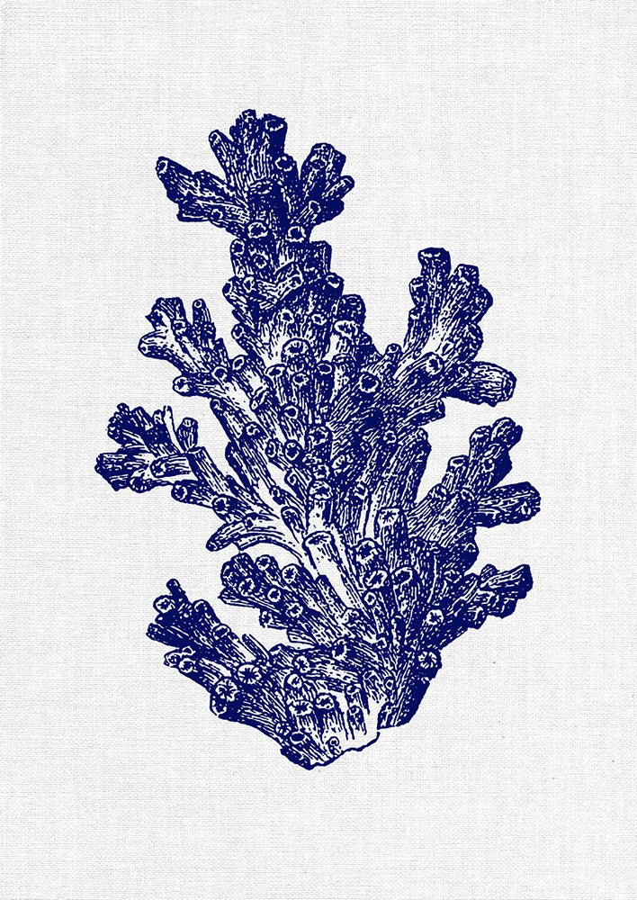 Wall Art Viewer Frames Render