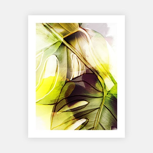 Tropical Leaves 2-Open Edition Prints-Fine art print from FINEPRINT co