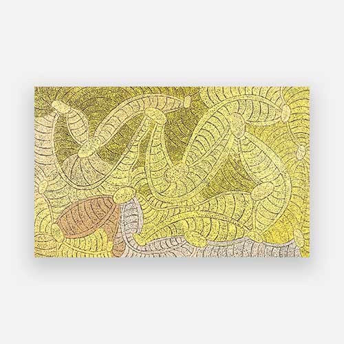 Janganpa Jukurrpa (Brush-tail Possum Dreaming) - Mawurrji