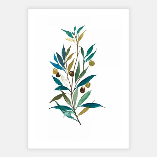 Olive II by POD EXCHANGE - FINEPRINT co