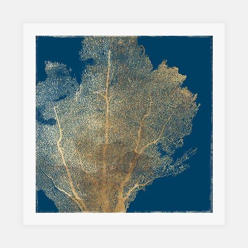 Gold Coral I by POD EXCHANGE - FINEPRINT co