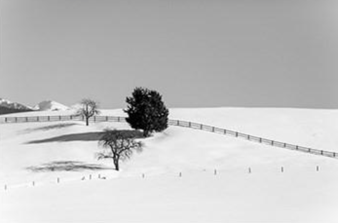 Wall Art Viewer Frames Render