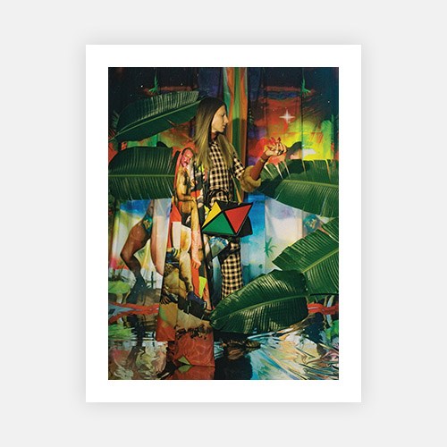 Exotica-Vogue Contemporary-Fine art print from FINEPRINT co