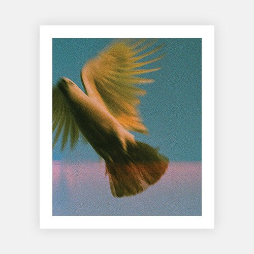 Wall Art Viewer Frames Render