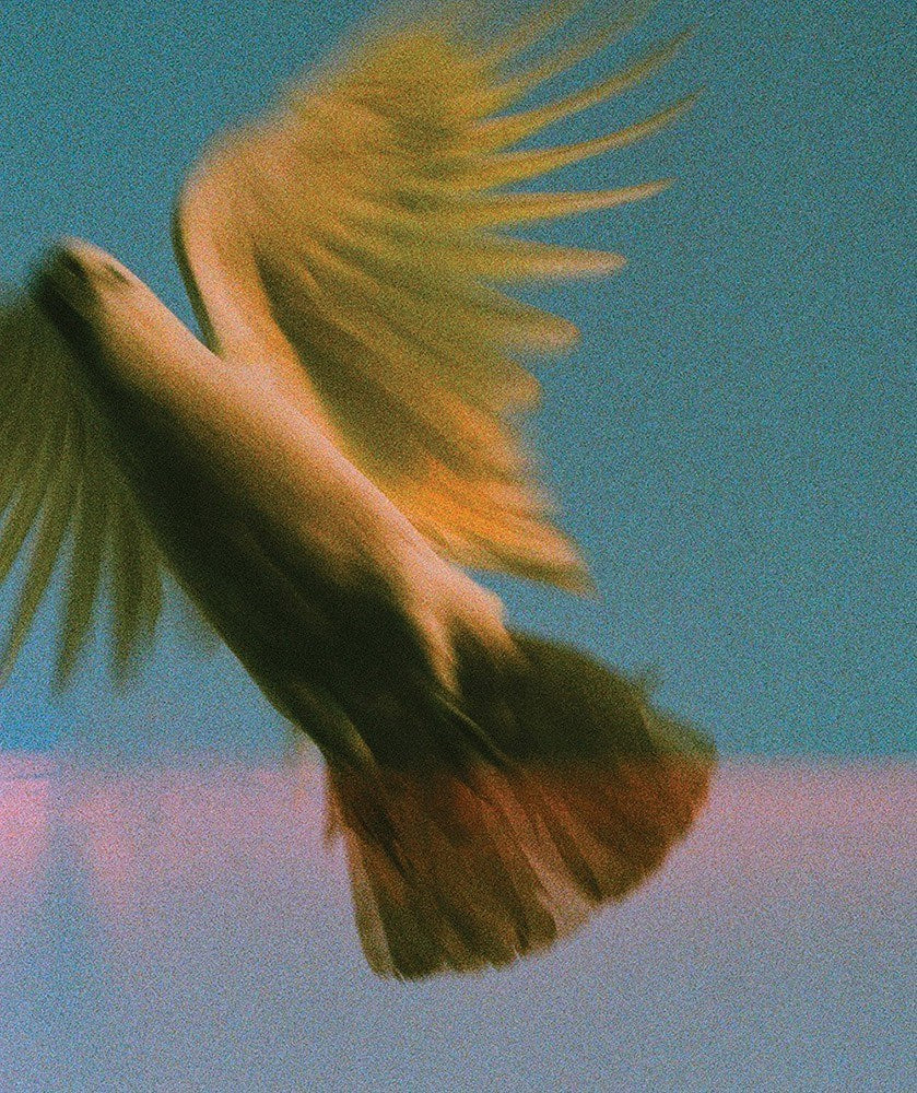 Wall Art Viewer Frames Render