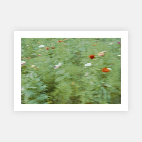 Wild flowers at a glance-Vogue Contemporary-Fine art print from FINEPRINT co
