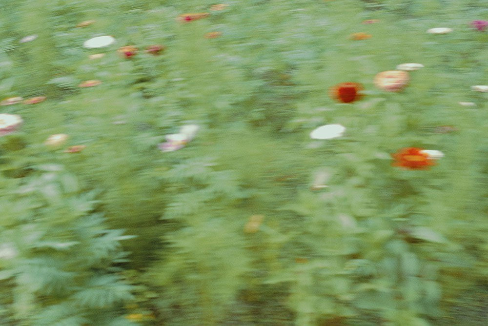 Wall Art Viewer Frames Render