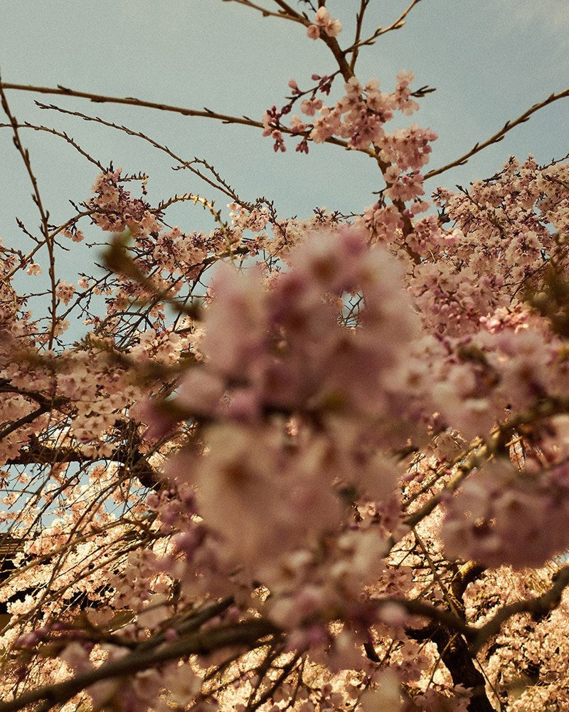 Wall Art Viewer Frames Render