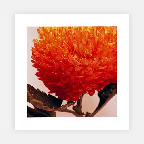 Wall Art Viewer Frames Render