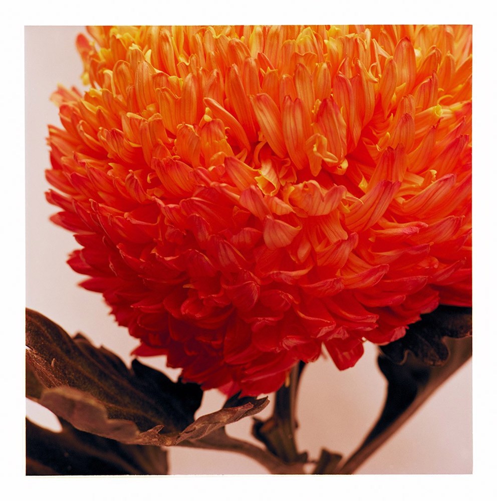 Wall Art Viewer Frames Render