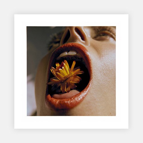 Wall Art Viewer Frames Render