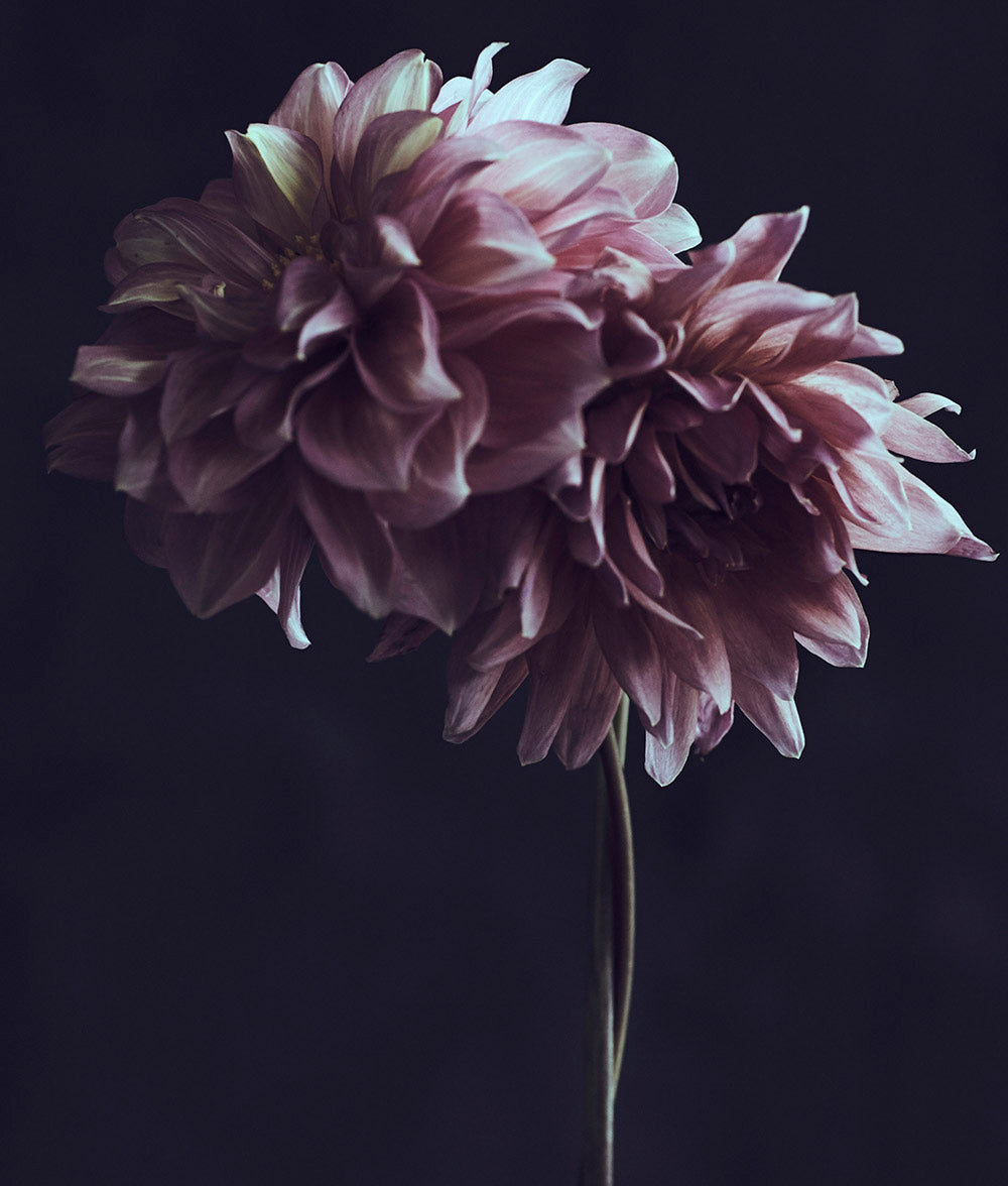 Wall Art Viewer Frames Render