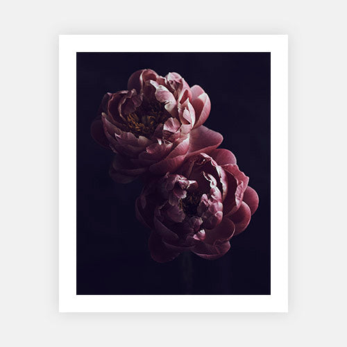 In Full Bloom-Vogue Contemporary-Fine art print from FINEPRINT co