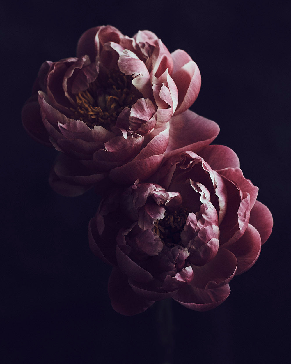 Wall Art Viewer Frames Render