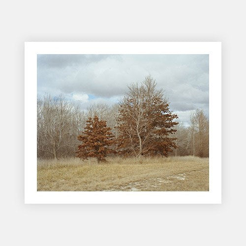 Winter Trees-Vogue Contemporary-Fine art print from FINEPRINT co