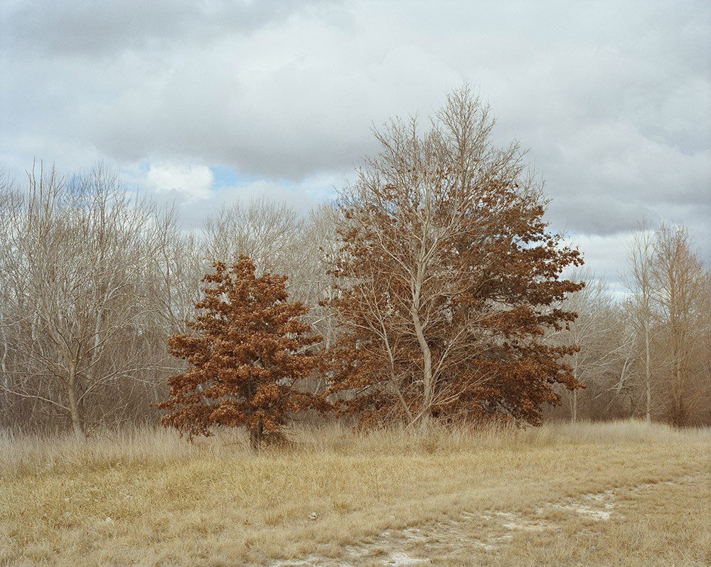 Wall Art Viewer Frames Render