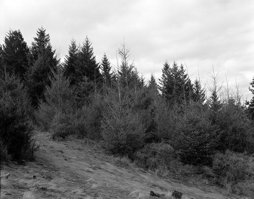 Wall Art Viewer Frames Render