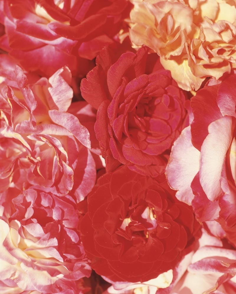 Wall Art Viewer Frames Render