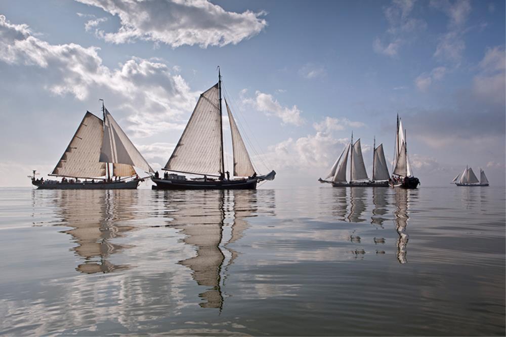 Netherlands, race of traditional sailing ships by Getty Images - FINEPRINT co