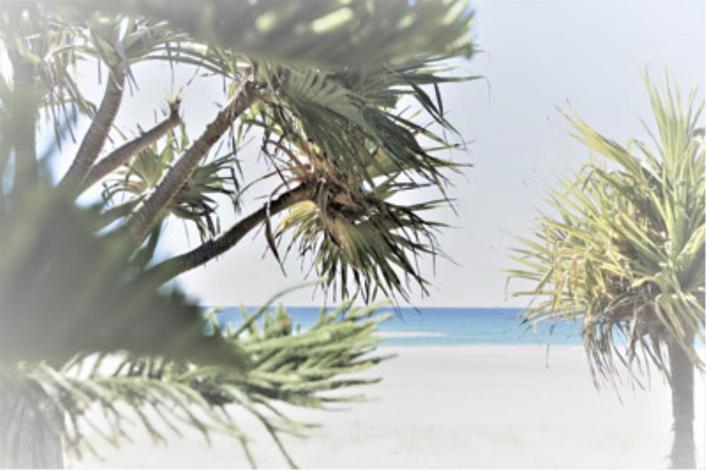 Wall Art Viewer Frames Render