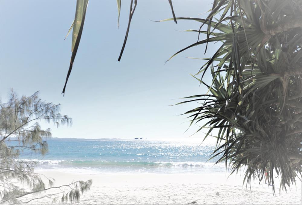 Wall Art Viewer Frames Render