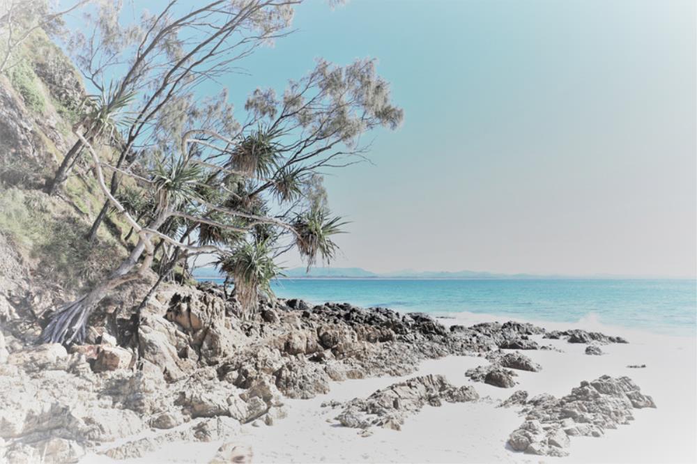 Wall Art Viewer Frames Render