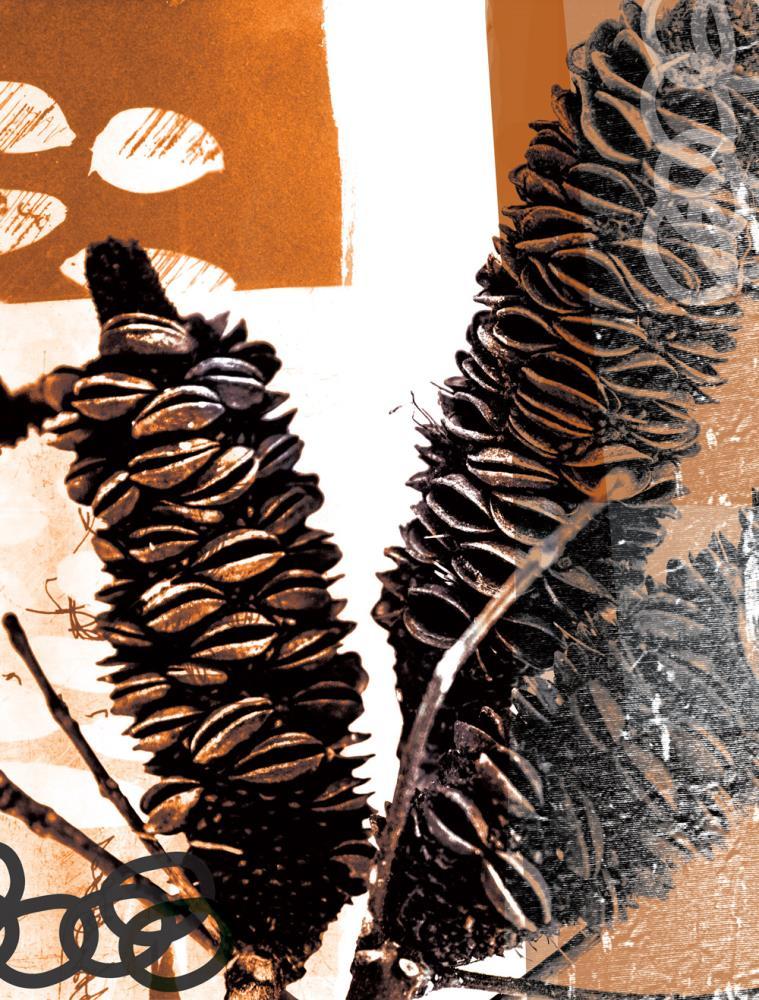 Wall Art Viewer Frames Render