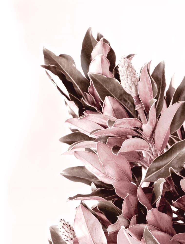 Wall Art Viewer Frames Render