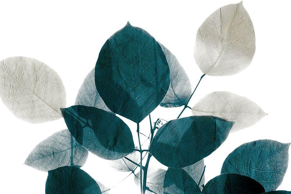 Wall Art Viewer Frames Render